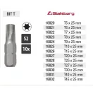 Lev Stahlberg bitfej T25, 25mm, S2, 10db, 18828