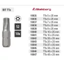 Lev Stahlberg bitfej TTa27, 25mm, S2, 10db, 18844