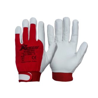   Sofőrkesztyű, MASTER SI-AG840, kecskebőr, 7, RW-SIAG840AM-7